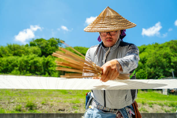 mid adult man washing a kimono obi after dyeing2174536061