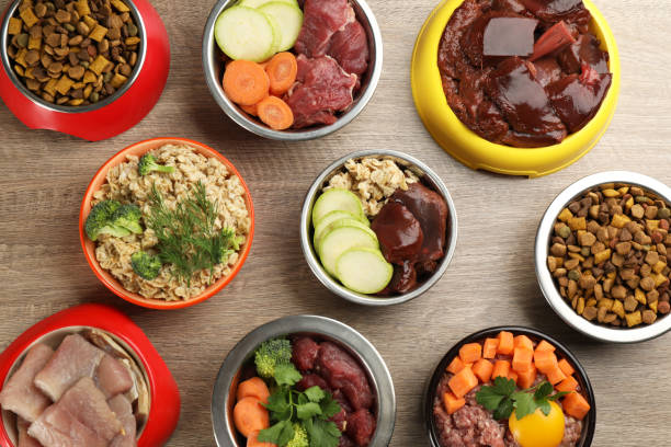 pet food and natural ingredients on wooden table flat lay1320774197